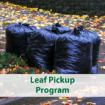 Bags of Leaves Ready for Springfield's Bagged Leaf Pickup Program; click for additional information
