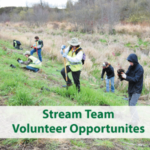 Trees being planted; click for more information about volunteering.