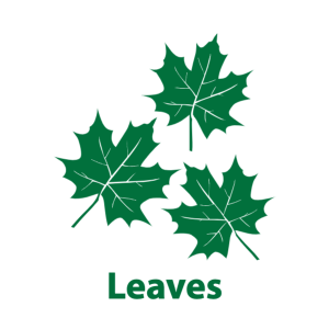Leaves information button